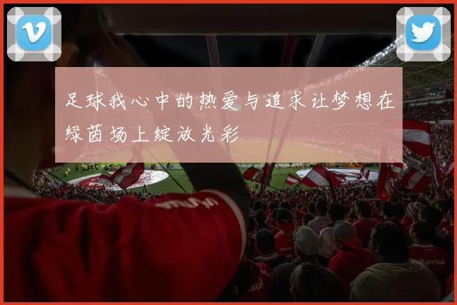 足球我心中的热爱与追求让梦想在绿茵场上绽放光彩