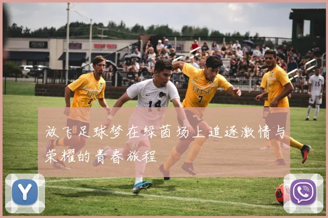 放飞足球梦在绿茵场上追逐激情与荣耀的青春旅程