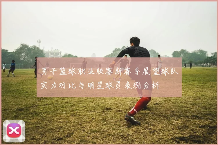 男子篮球职业联赛新赛季展望球队实力对比与明星球员表现分析